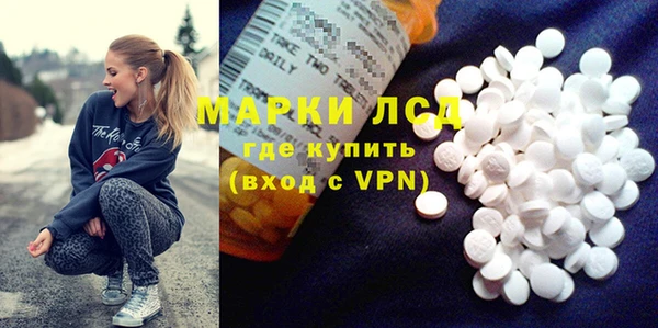 гашик Новодвинск