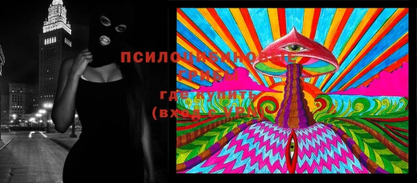 гидра Алексеевка