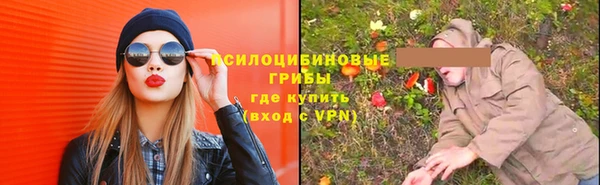 хмурый Новозыбков