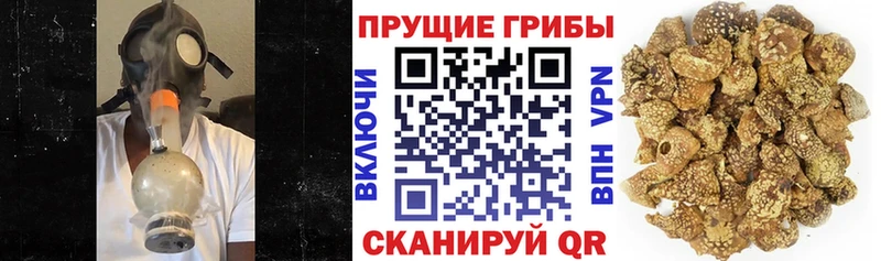 mega ссылка Люберцы Галлюциногенные грибы мицелий